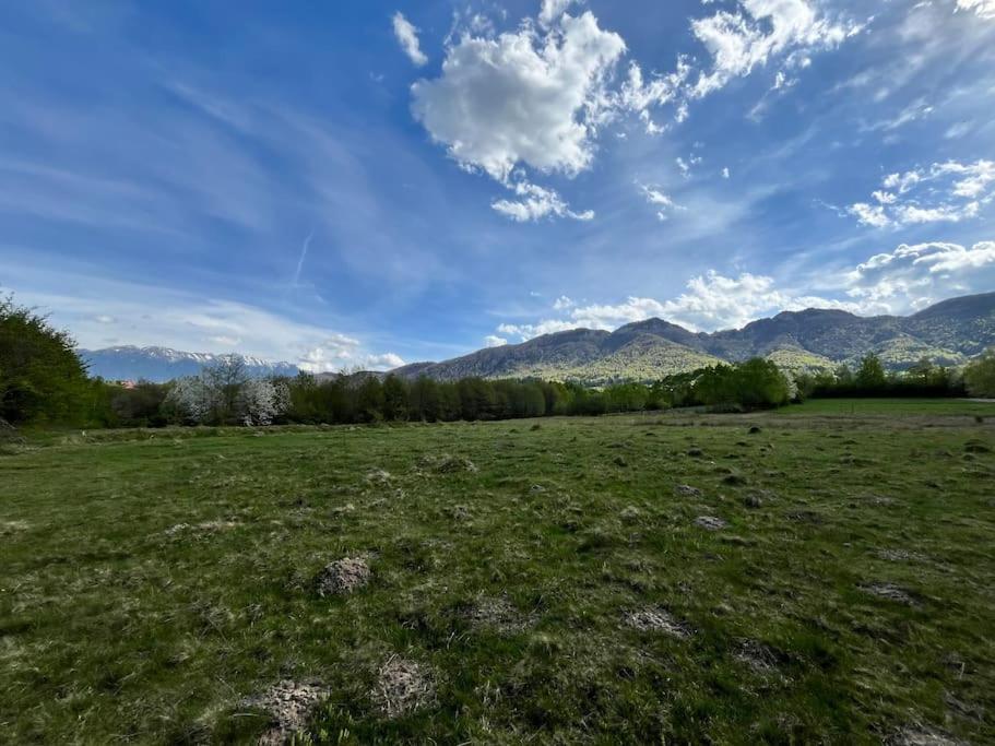 Alpine Chalet Пределуц Экстерьер фото